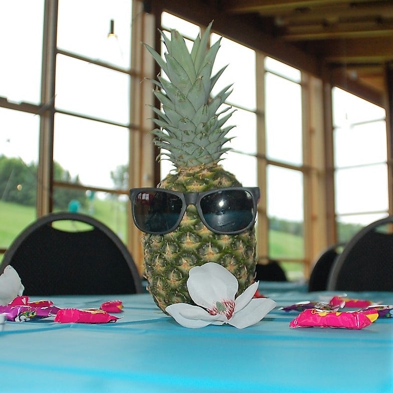 QTS 2018 Company Picnic: A Minnesota Luau