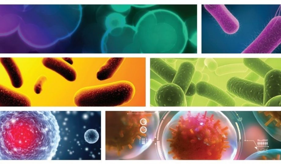 QTS Collaborates with Other Industry Experts to Publish Best Practices Article on Tests of Sterility for EO Sterilization